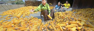Local producers©Kyaw Kyaw Winn/AgriCultures Network and World Rural Forum